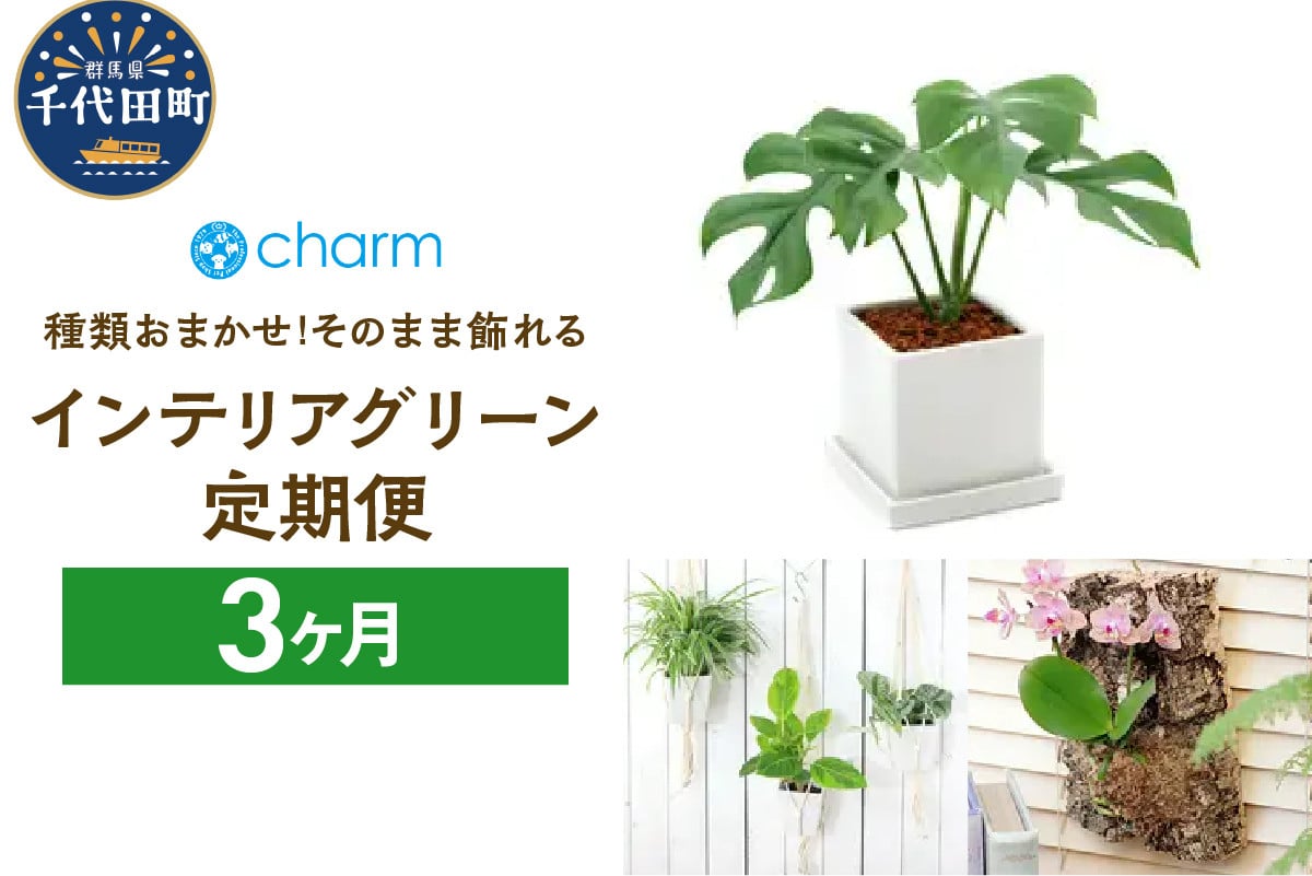 
            植物専門店が選ぶ「そのまま飾れるインテリアグリーン定期便」３カ月 インテリア おしゃれ 送料無料 株式会社チャーム
          
