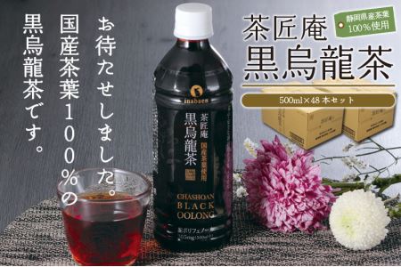 015-5 静岡県産 黒烏龍茶 計48本 500ml × 24本 2ケース ペットボトル 黒ウーロン茶 国産 ポリフェノール配合 いなば園 ウーロン茶 牧之原市 お茶