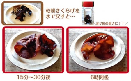 2149R_業務用乾燥きくらげ LLサイズ　450ｇ×1袋