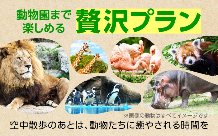 体験チケット とべもりジップライン往復体験チケット(えひめこどもの城スタート) / ジップライン 体験 チケット とべもり 往復 えひめこどもの城 アウトドア レジャー / 愛媛県砥部町/伊予鉄総合企
