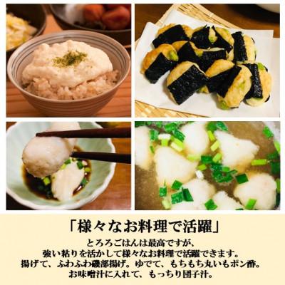 ふるさと納税 能美市 【日本農業賞大賞】加賀丸いもハッピーパック2kg(3〜6個) |  | 01