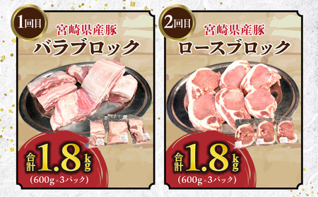 豚肉定期便　5ヶ月