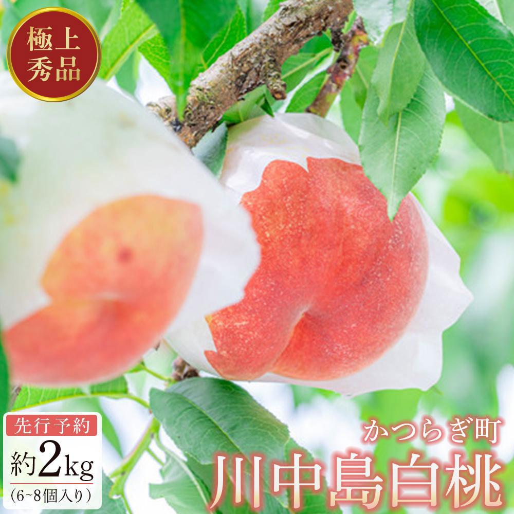 先行予約！［モモ］川中島白桃　約2kg 6～8個入［2026年7月末頃から順次発送］［秀品］こだわり農家厳選 ［KG13］
