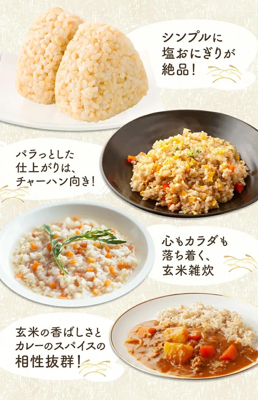 令和8年産 玄米 おとみや日和 阿蘇の名水と野草堆肥のめぐみ 10kg 春香ファーム