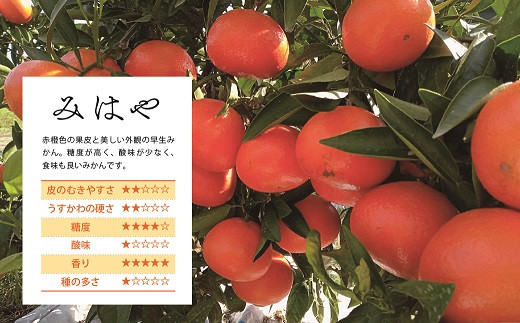 【先行受付】【訳あり】 みはや 5kg 果物 フルーツ くだもの 柑橘 みかん 蜜柑 新品種 おすすめ ワケアリ 不揃い 傷 Ｂ級品 プレゼント おすすめ おすそ分け 家庭用 おやつ スイーツ デザー