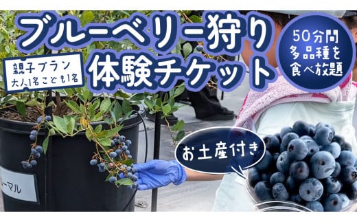 【寄附受付は2025年8月5日まで】 ブルーベリー狩り 体験チケット 《親子プラン お土産付き》 ブルーベリー ベリー 食べ比べ 食べ放題 収穫 収穫体験 体験 チケット 招待券 レジャー 観光 旅行 親子 ふれあい お土産 おみやげ 持ち帰り テイクアウト 多品種 果実 果物 くだもの フルーツ 自然体験 農業体験 茨城県 桜川市 [DZ008sa]