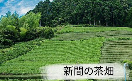【静岡市内でも産地によって味が違う！】静岡市産煎茶3地区「新間・梅ヶ島・和田島」飲み比べセット◆