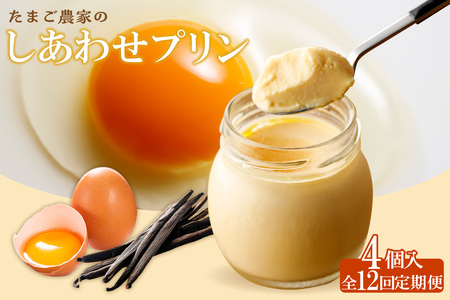 【定期便12ヶ月】たまご農家のしあわせプリン 4個セット ココテラス デイリーファーム 常滑牛乳 デザート スイーツ なめらかプリン ギフト お取り寄せ たまご 卵 米卵 こだわりプリン グルメ 瓶入り おやつ 鶏卵 洋菓子 お菓子 プレゼント グルメ 愛知県 常滑市 定期便