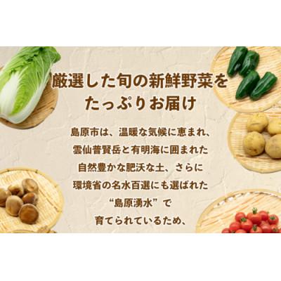 ふるさと納税 島原市 【発送月固定定期便】【10〜12月限定出荷】こむたの旬の野菜(8〜10品目)おまかせMセット全3回 |  | 01
