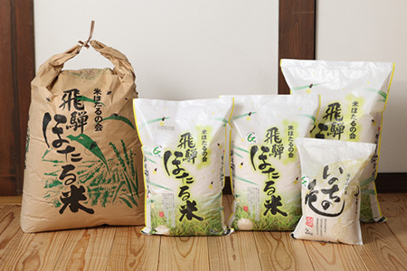 新米予約受付【令和7年産米】【定期便】こしひかり 5kg×6回 すがたらいす 下呂市金山産 2025年産 毎月 お米 米 精米 定期 コシヒカリ【51-Y】