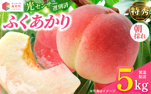 もも【ふくあかり・2027年産先行予約】特秀　5kg　桑折町産　JAふくしま未来　桃 ／ もも モモ 果物 フルーツ 旬 甘い 甘み ジューシー 果肉 果汁 新鮮 フレッシュ デザート おいしい 産地
