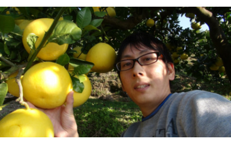 【先行予約】三愛果樹園の土佐文旦　家庭用　約3kg / 土佐文旦 みかん 柑橘 ぶんたん ブンタン 果物 フルーツ 〈2027年2月上旬から順次発送〉【三愛果樹園】 [BQAO003]