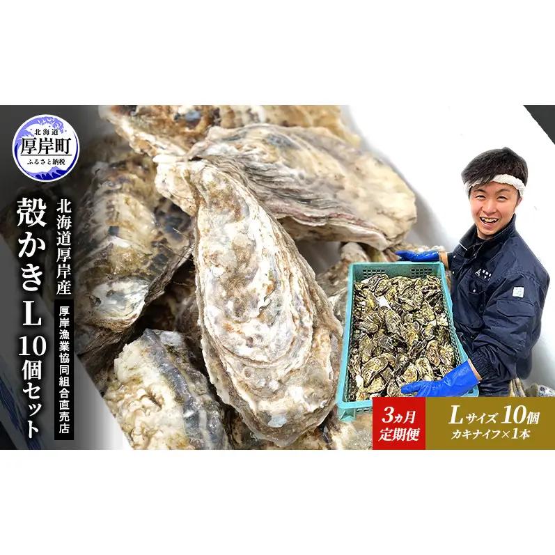 定期便 3ヵ月 牡蠣 殻付き 生食 L10個 北海道 厚岸産 マルえもん【厚岸漁業協同組合】カキナイフ付 [ カキ かき 生牡蠣 殻かき オイスター 冷蔵 ］