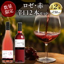 【ふるさと納税】≪数量限定≫ ロゼ・赤 辛口 2本 セット ワイン 酒 アルコール 飲み比べ 国産 飲料 果実酒 ぶどう 都農ワイン おすすめ 家飲み 晩酌 パーティー BBQ おつまみ ご褒美 記念日 お祝い ギフト 贈答 贈り物 プレゼント 詰め合わせ 常温 宮崎県 都農町 送料無料