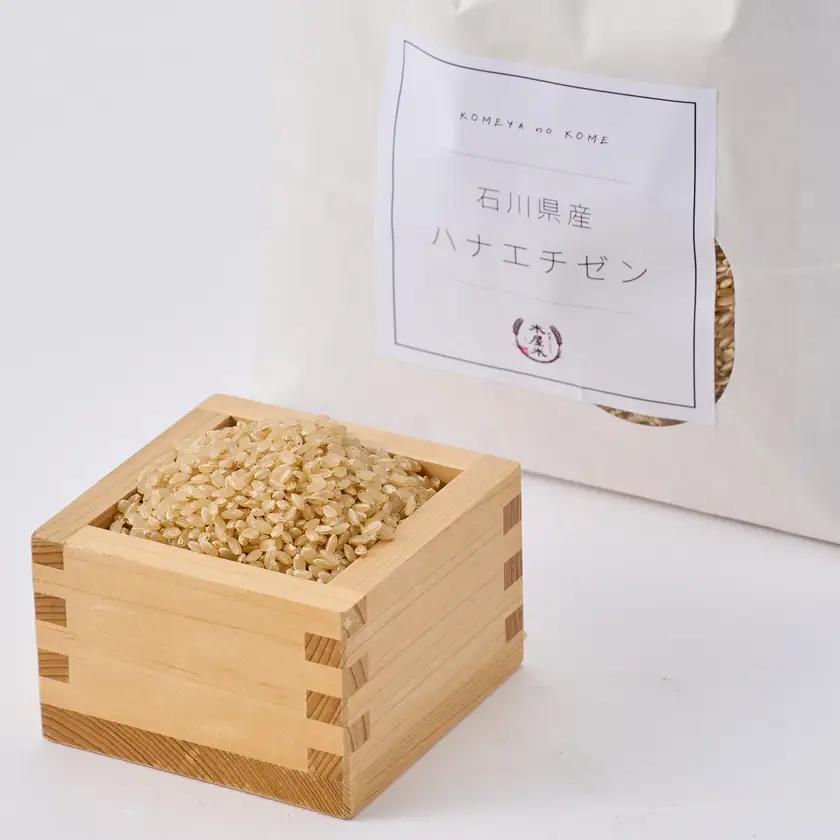 【家庭料理にぴったりの旨み】石川県野々市市産ハナエチゼン令和7年産玄米 5kg【1685138】