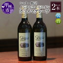 【ふるさと納税】 ワイン ノンアルコール シャトー勝沼 カツヌマ グレープ 白 2本 セット 720ml×2本 アルコール0.00% 白ワイン 日本ワイン 山梨県 甲州市 勝沼ぶどうの丘 母の日 父の日 記念日 ギフト 【B-713】