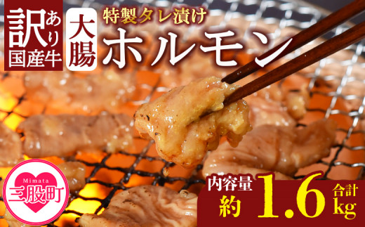 ＜【訳あり】国産牛ホルモン大腸（特製タレ漬け）計1.6kg(400g×4袋)＞大腸を秘伝の特製タレに漬け込みました！ 国産牛ホルモン 国産 牛肉 肉 ホルモン モツ 大腸 冷凍 焼肉 焼き肉 BBQ もつ鍋 煮込み 小分け 焼くだけ 簡単 タレ漬け 簡易包装 野菜炒め 夕食 食感 おつまみ 冷凍食品 小分けパック【MI024-nk-x1】【中村食肉】