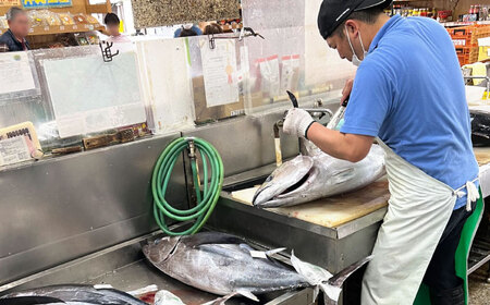 冷凍マグロギョーザ 24個(12個入り2パック) 餃子 冷凍 国産 マグロ 沖縄産 沖縄市 / 沖縄市漁業協同組合 パヤオ直売店[BCDZ003]