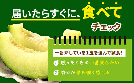 【先行予約】 タカミメロン 約5kg(3〜5玉)【2025年6月中旬-7月初旬順次発送】 メロン メロン メロン メロン メロン 小値賀園芸部会[DAT001] メロン メロン メロン