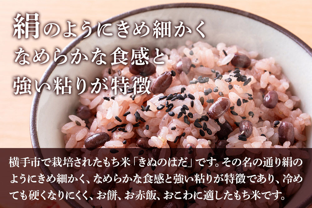 【もち米】令和7年産  横手市産 きぬのはだ 6kg(1.5kg×4袋) [もち米 餅 米 もちもち お赤飯 おこわ おはぎ 精米 お彼岸 秋田県 きぬのはだ]
