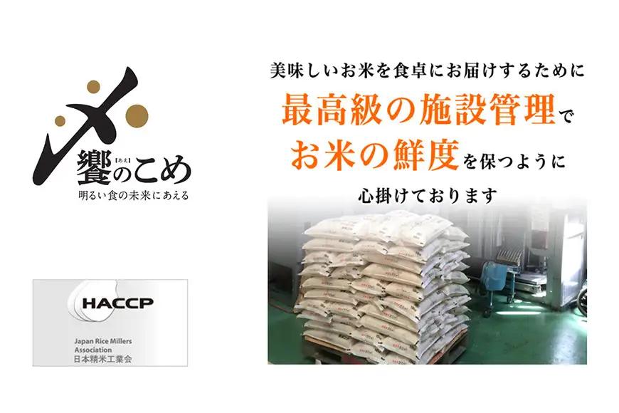 米 令和7年 石川県産 5kg×4種 20kg 精米 食べ比べ