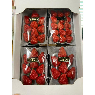 
鹿丸農園のおまかせ いちごセット大＜約250g×4パック　約1kg＞【1489572】
