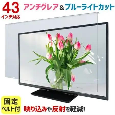 大阪府和泉市　43AG2　43インチ用　テレビ画面保護パネル　アンチグレアタイプ　テレビガード【1669361】