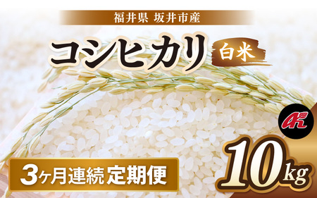 【先行予約】【令和8年産・新米】 定期便 ≪3ヶ月連続お届け≫ 坂井市産 コシヒカリ 白米 10kg (5kg×2袋)×3回 計30kg (アグリ川崎) 【2026年10月以降順次発送予定】 【米 こめ お米 精米 ブランド米 こしひかり 国産】 [F-20506]