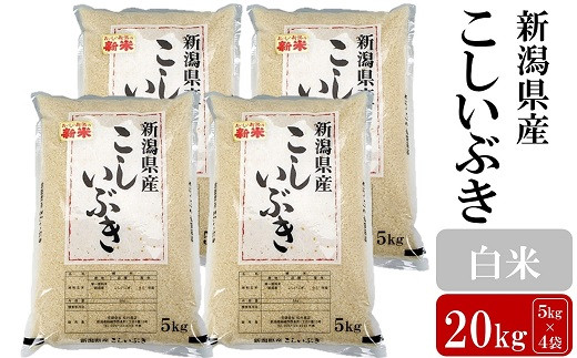 
            【令和7年産新米】こしいぶき 白米 20kg（5kg×4袋）お米と共に200年の松村商店直送！[Y0259]
          