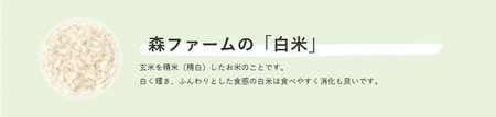 スプリングライス こしひかり・ミルキークィーン ブレンド (白米)5kg_BI27 ※着日指定不可