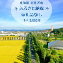 【ふるさと納税】【返礼品なし】岩見沢市 寄附のみ応援 5,000円【応援寄附】