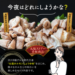 ちょい飲みに最適！食べ切り焼肉「ホルモンマン」セット500g 豚ホルモン 豚肉 焼肉 BBQ ガツナンコツ レバー 白モツ 大トロ 群馬県 渋川市 F4H-0179