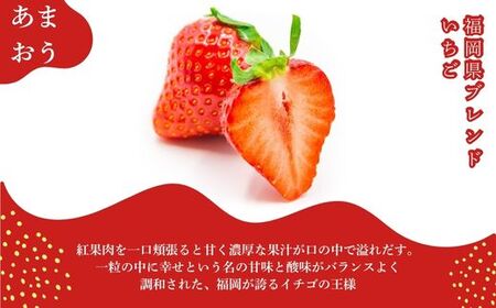 【先行予約】福岡県産あまおう 270g×4パック ※年内発送 農家直送 [TY013-1] ※配送不可：北海道・沖縄・離島【福岡県須恵町】いちご イチゴ 苺 フルーツ 果物 国産 九州 送料無料
