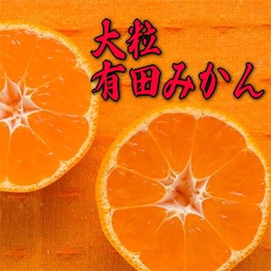 【2025年11月中旬〜発送】【果汁たっぷり】迫力満点! 大粒 有田みかん 8.2kg ※北海道・沖縄・離島への配送不可 ※2025年11月中旬～2026年1月中旬頃に順次発送予定