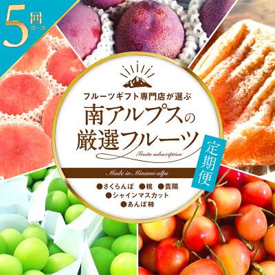 ふるさと納税 南アルプス市 【発送月固定定期便】フルーツギフト専門店が選ぶ南アルプスの厳選フルーツ定期便　全5品種全5回