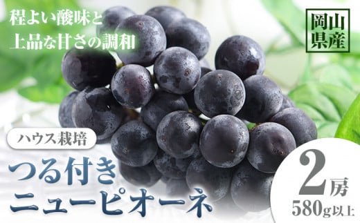 岡山県産 つる付きニューピオーネ 2房 580g以上 ハウス栽培 葡萄 果物 厳選出荷 スイーツ フルーツ デザート 岡山県矢掛町《7月上旬-8月下旬頃に出荷予定(土日祝除く)》 種なしぶどう 【配送不可地域あり】