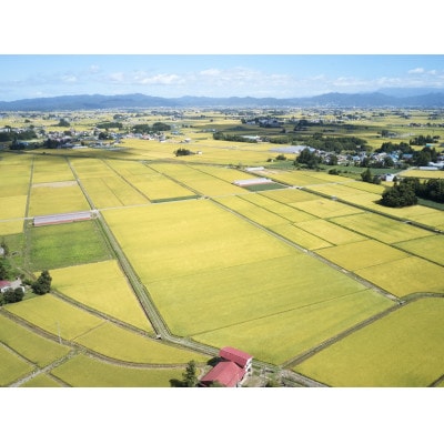 《先行予約》令和8年産　山形県産　雪若丸　5kg【1120495】