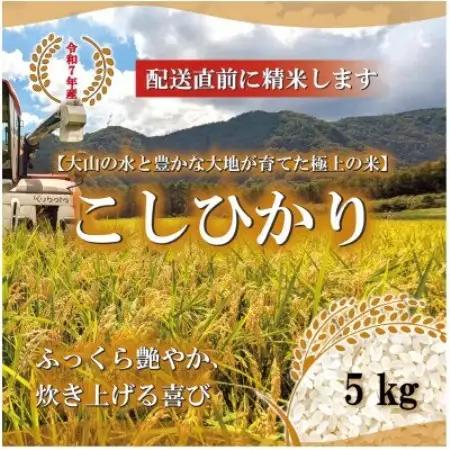 令和7年 鳥取県産　山崎農園こしひかり5kg【1725211】