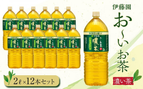 【2024年10月1日より寄附金額見直し（値上げ）予定】お～いお茶　濃い茶2L　12本セット　［おーいお茶 ペットボトル 2リットル ケース 箱 伊藤園 静岡］