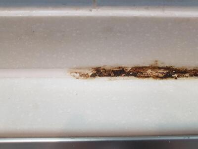 擦らず楽々強力カビ取り剤「ＭｏｌｄＺＥＲＯ(R)」　2本セット  掃除  カビ取り 除菌 抗菌 モールドゼロ モルドゼロ Mold ZERO