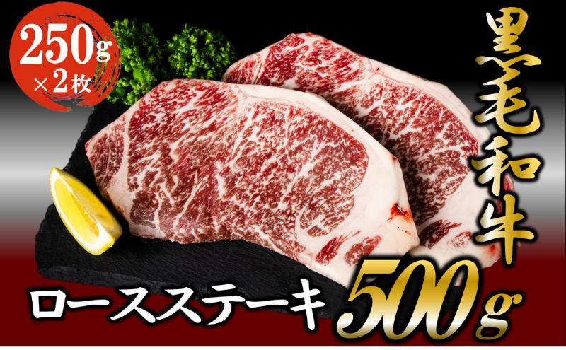 
黒毛和牛 ロースステーキ 500g （250g×2枚） 牛肉 お肉 ステーキ ロース [№5802-0344]
