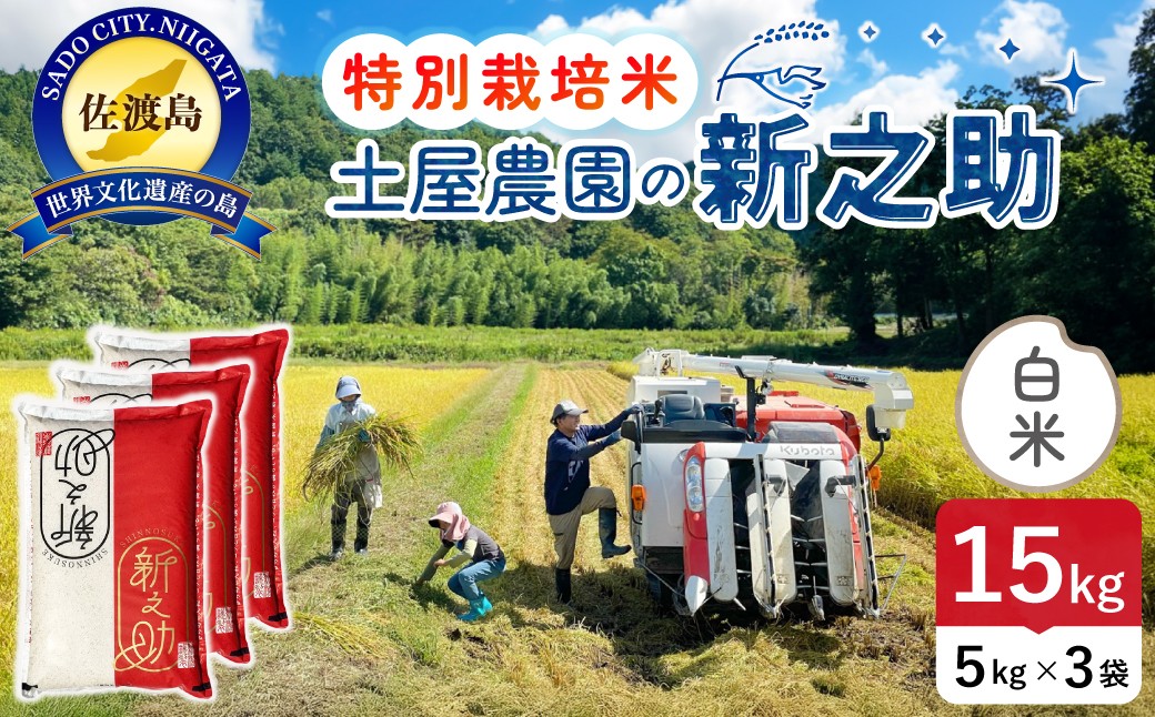 
                  佐渡島産 新之助 白米15kg（5kg×3袋）令和7年産 特別栽培米 単一原料米 土屋農園 | 新潟県産新之助 新潟産新之助 佐渡産新之助 しんのすけ 新之助 お米 米 白米 精米 ブランド米 おこめ コメ 15キロ 大粒 世界農業遺産 にいがた さど 新潟県 佐渡市
                