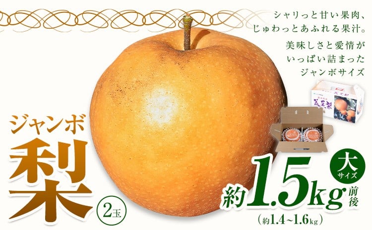 
            【2026年先行予約】 梨 なし 贈答用 荒尾ジャンボ梨（新高）2玉入り 約1.5kg前後 秋 旬 熊本県 荒尾市産 髙口果樹園《2026年10月上旬-10月下旬頃出荷》フルーツ 果物 ギフト 化粧箱 専用BOX付き 冷蔵
          