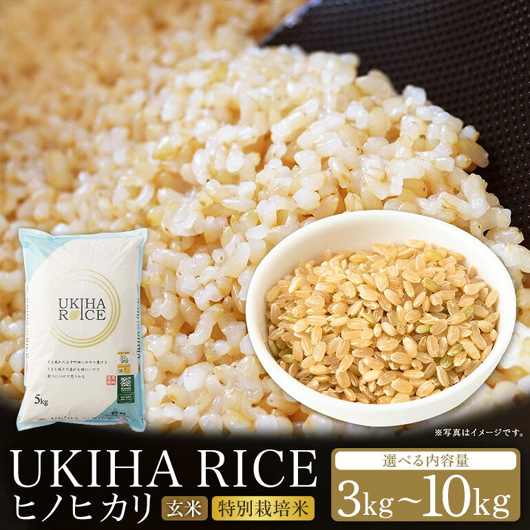 【ふるさと納税】玄米 ひのひかり UKIHA RICE 3kg 5kg 10kg（5kg×2袋）特別栽培米 ヒノヒカリ 令和7年産 米 こめ ご飯 コメ ごはん ヘルシー 送料無料 国産 国産米 福岡 返礼品 お弁当 家庭用 ギフト プレゼント 仕送り お取り寄せ うきは市 株式会社みずほファーム