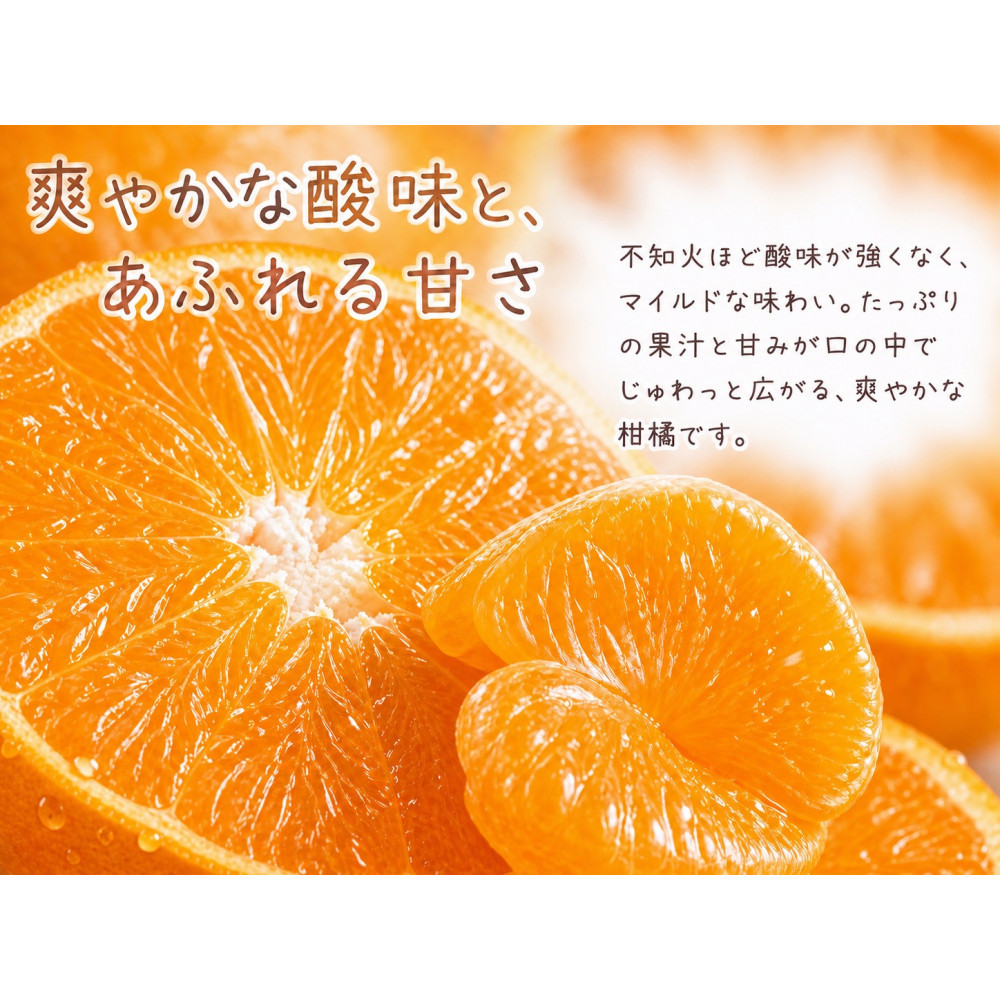果肉ぷりぷり!完熟はるみ　５ｋｇ［2027年2月上旬頃～2027年2月下旬頃に順次発送］［UT22］ XF032_イメージ4