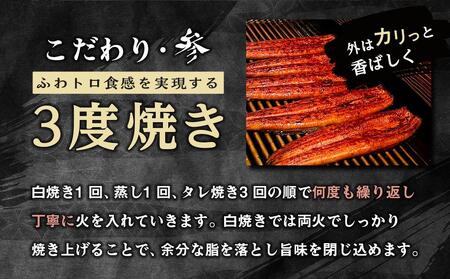 うなぎ 蒲焼 2本 ＆ 角長特製 蒲焼タレ 1本 セット 【 国産 うなぎ蒲焼き 特製たれ付き 冷凍 鰻 うなぎ ウナギ かば焼き うなぎ うなぎ蒲焼 ウナギ蒲焼用たれ 蒲焼 国産 うなぎ 取り寄せ 