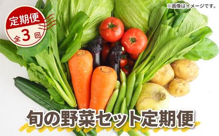 野菜【 全3回定期便 】詰め合わせ 産地 直送 10～14種 減農薬 | 野菜野菜野菜野菜野菜野菜 