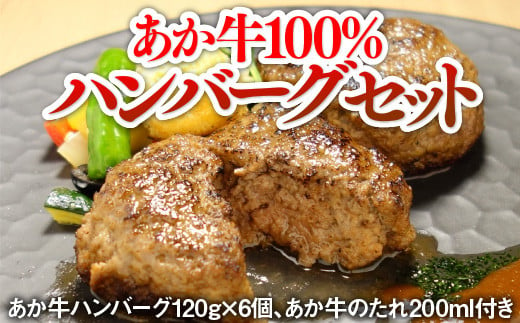 あか牛100％ハンバーグセット(あか牛ハンバーグ120g×6個、あか牛のたれ200ml付き）