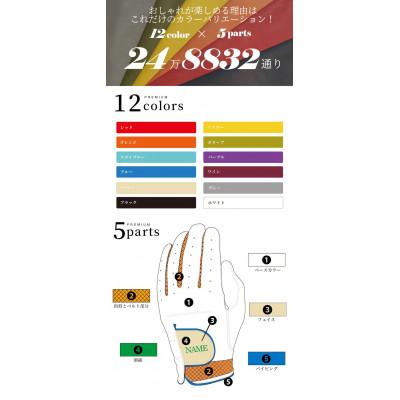 ふるさと納税 尼崎市 オーダーメイドゴルフグローブお仕立券【プレミアム】ベースカラー:ブラック |  | 01