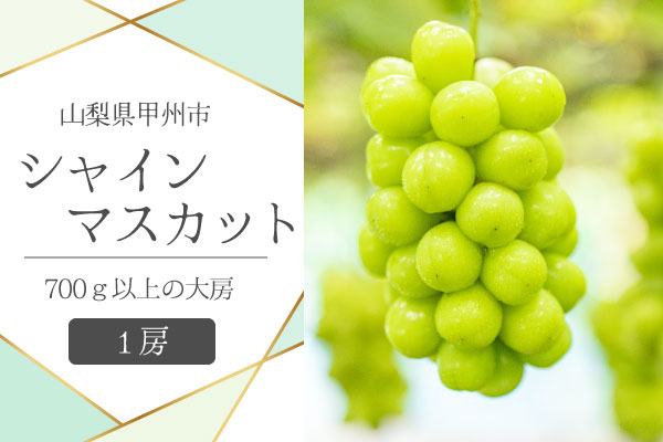 甲州市産シャインマスカット1房 大房700g以上 産地直送【2025年発送】（VYD）B-885